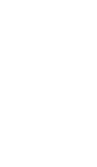 programs-shape-2.png